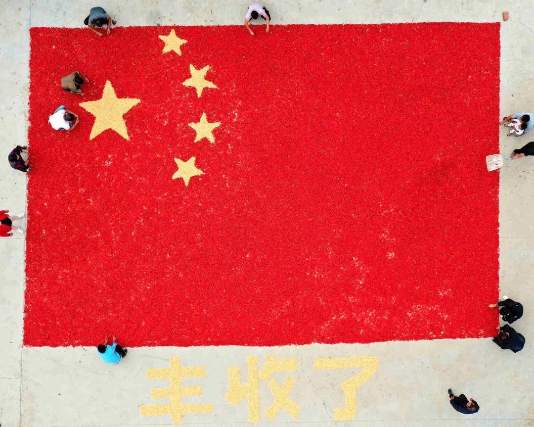 博彩论坛排名