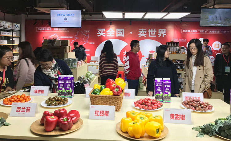 农博会02.jpg