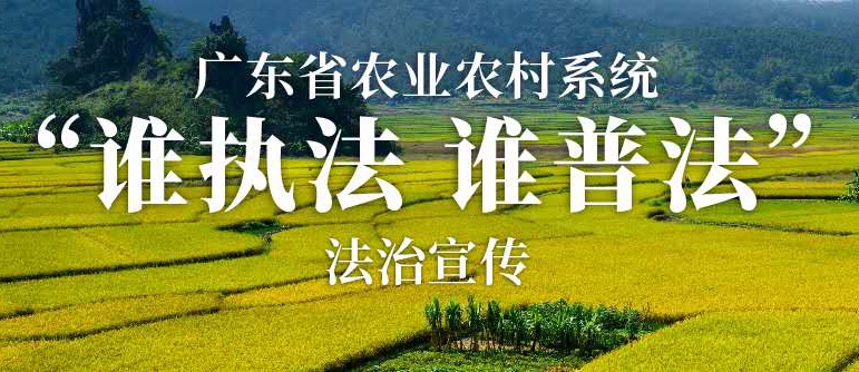 广东省农业农村系统“谁执法 谁普法”法治宣传