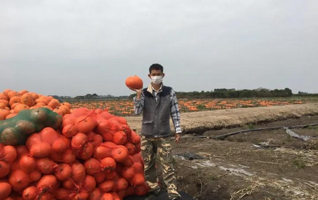 博彩论坛排名