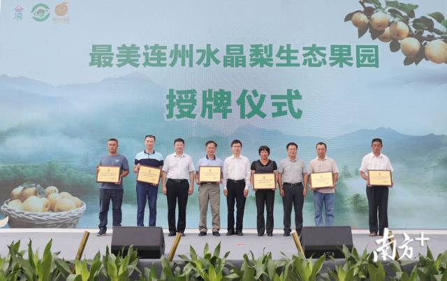 “最美连州水晶梨生态果园”授牌