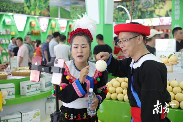 连州水晶梨推介