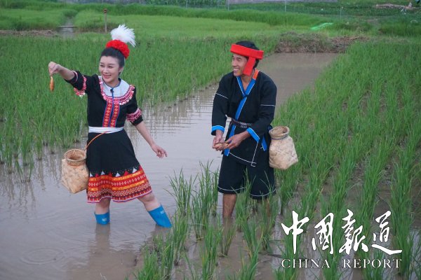 博彩论坛排名