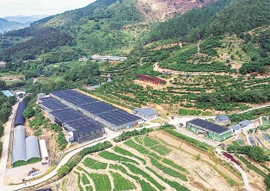 广东云浮:打造中药产业新高地