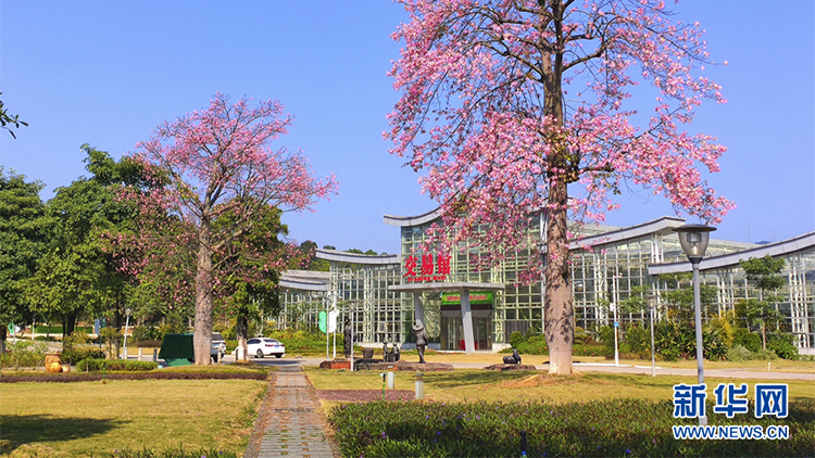 01.jpg