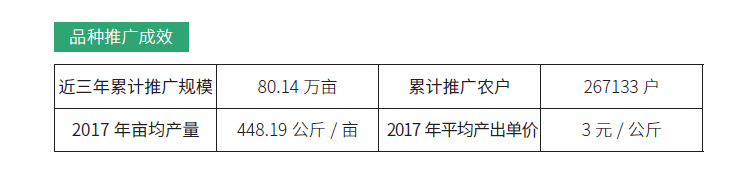 博彩论坛排名