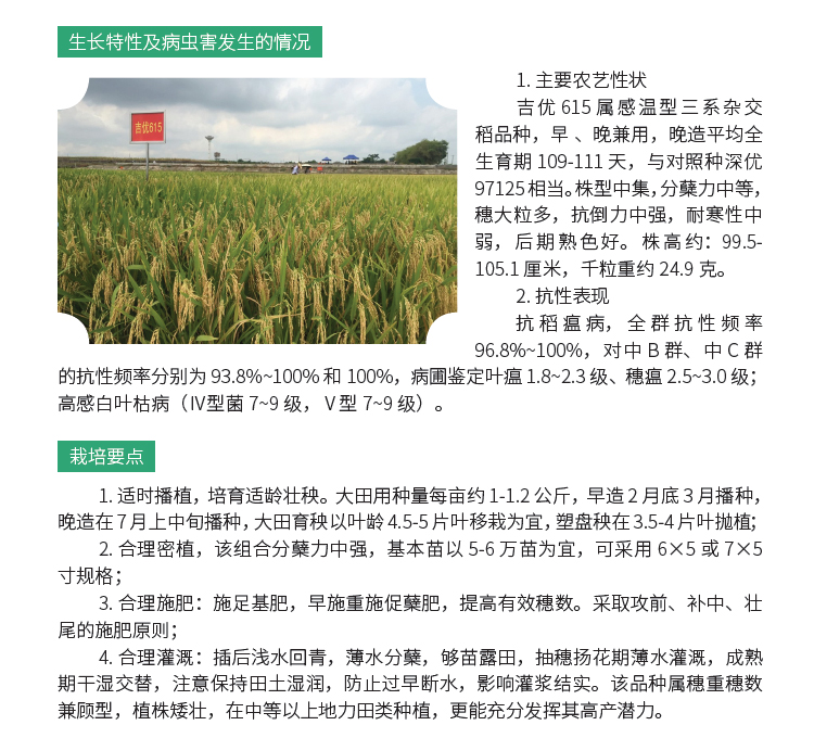 博彩论坛排名