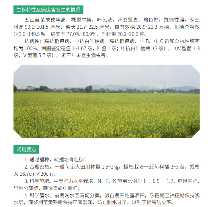 博彩论坛排名