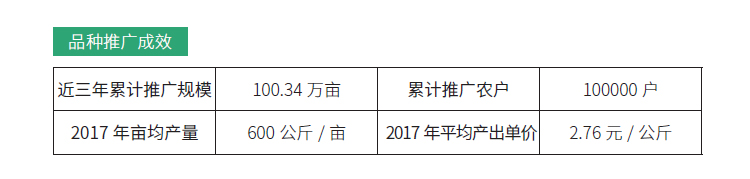 博彩论坛排名