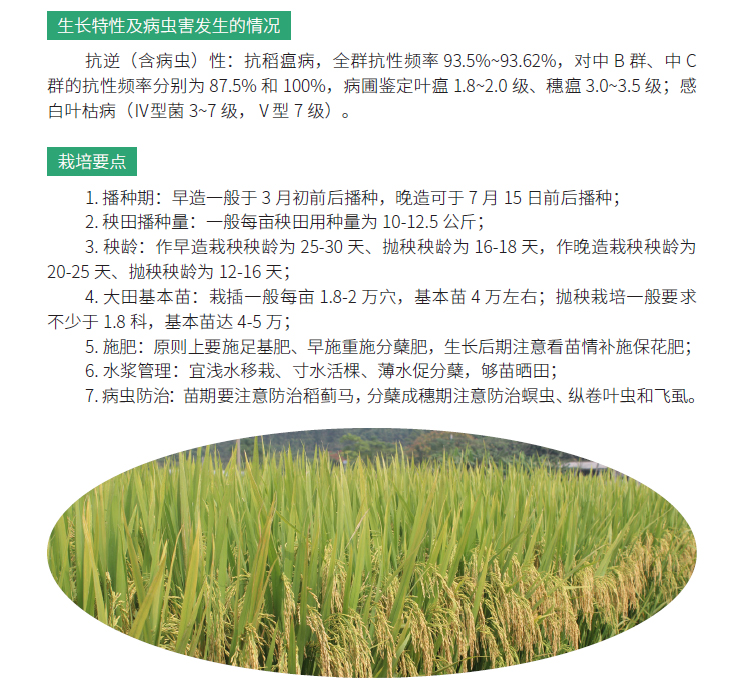 博彩论坛排名