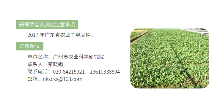 博彩论坛排名