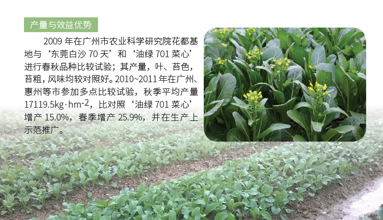 博彩论坛排名