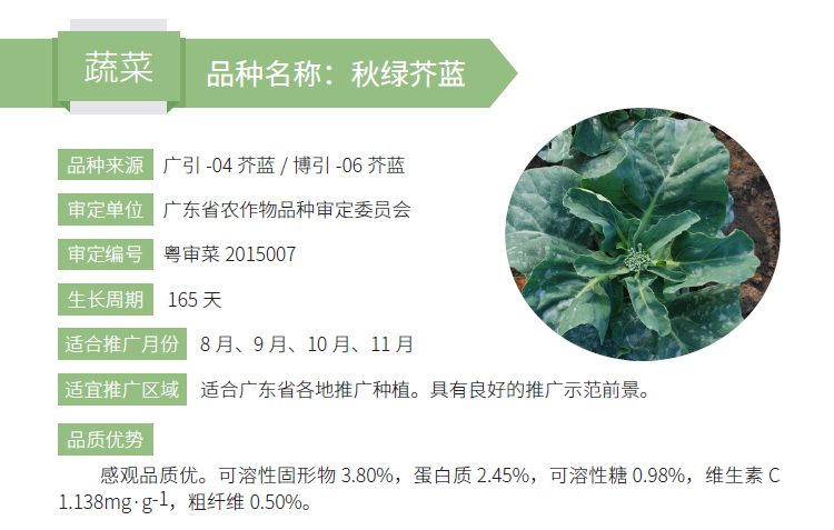 博彩论坛排名