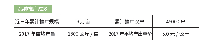 博彩论坛排名