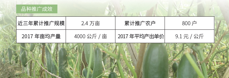 博彩论坛排名