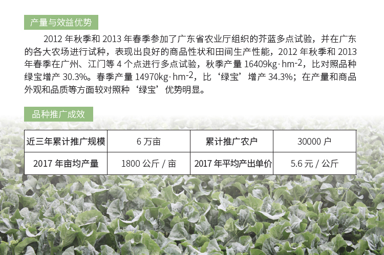 博彩论坛排名