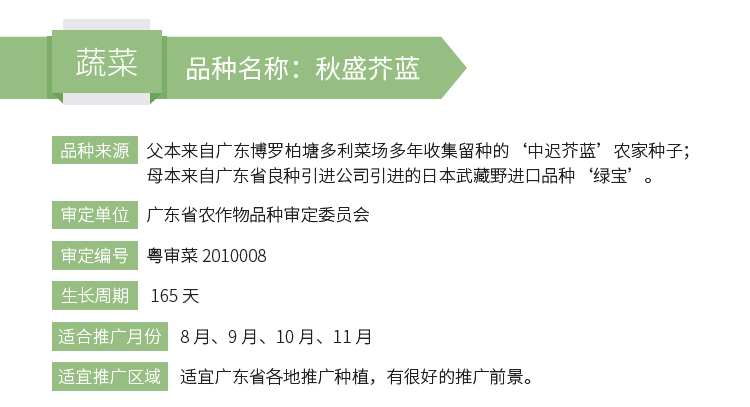 博彩论坛排名