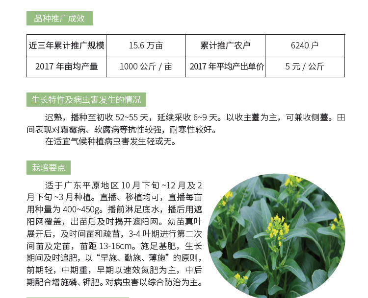 博彩论坛排名