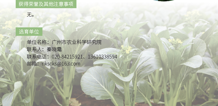 博彩论坛排名