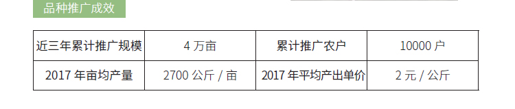 博彩论坛排名