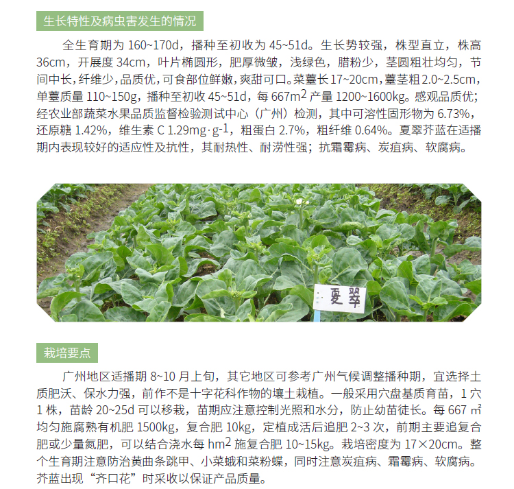 博彩论坛排名