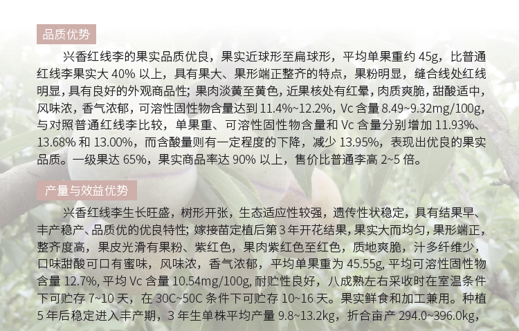 博彩论坛排名