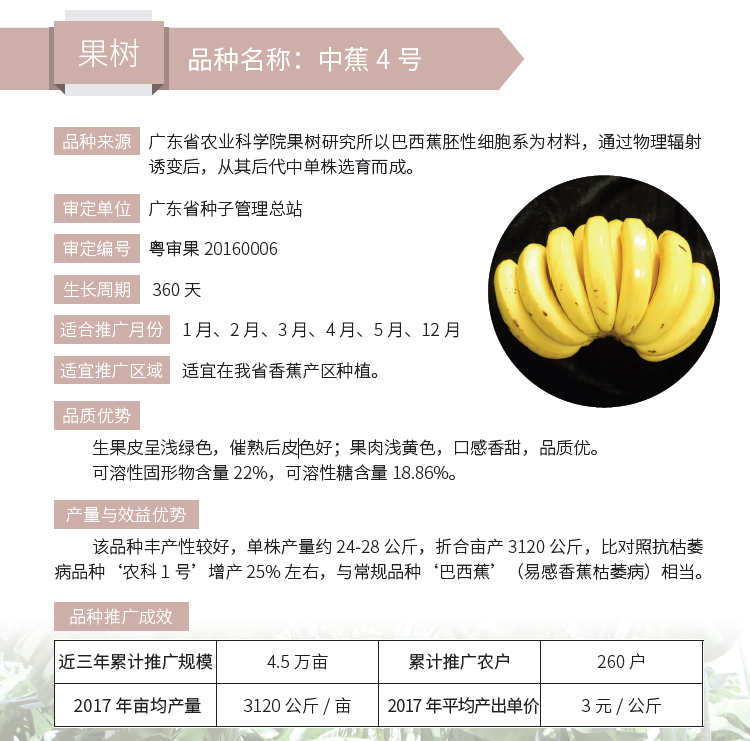 博彩论坛排名