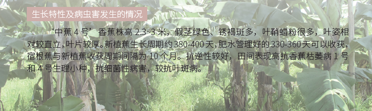 博彩论坛排名