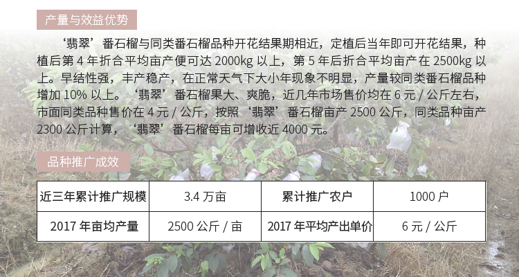 博彩论坛排名