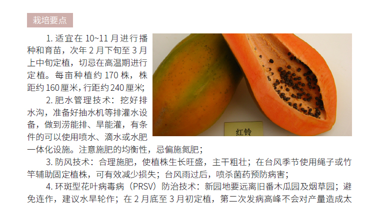 博彩论坛排名