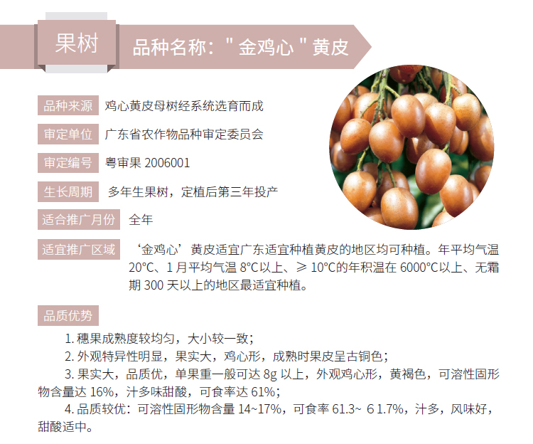 博彩论坛排名