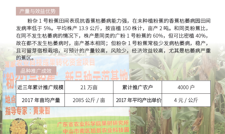 博彩论坛排名
