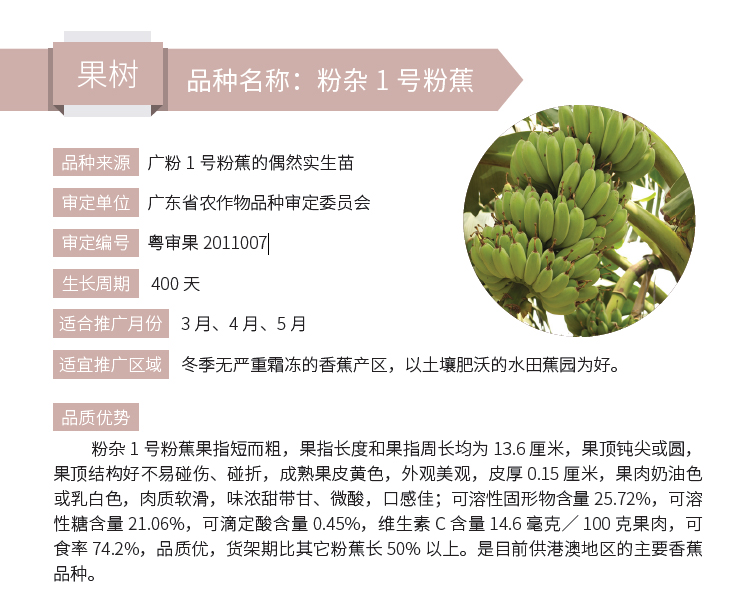 博彩论坛排名