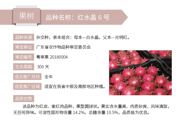 博彩论坛排名