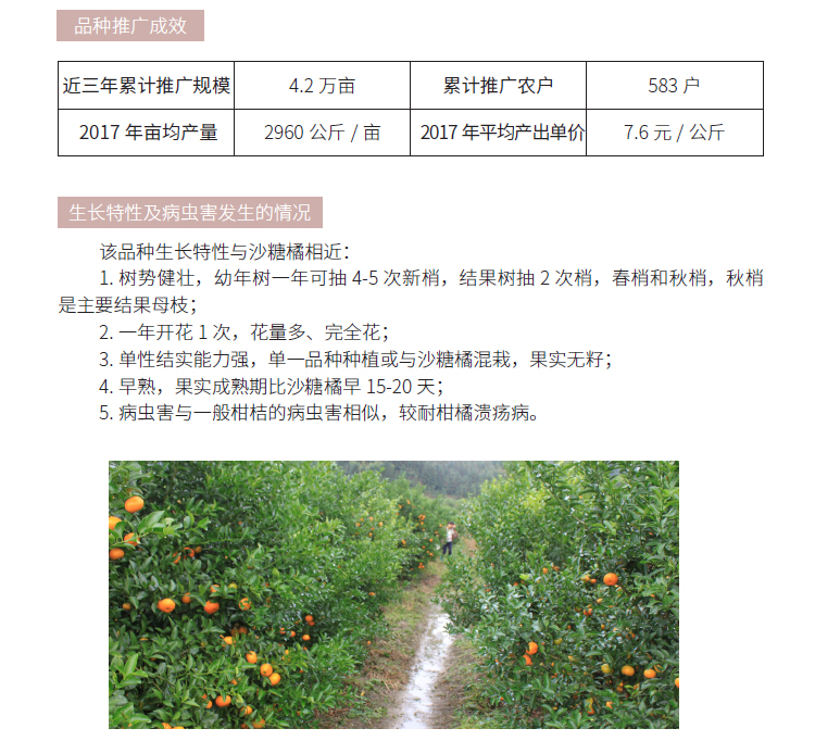 博彩论坛排名
