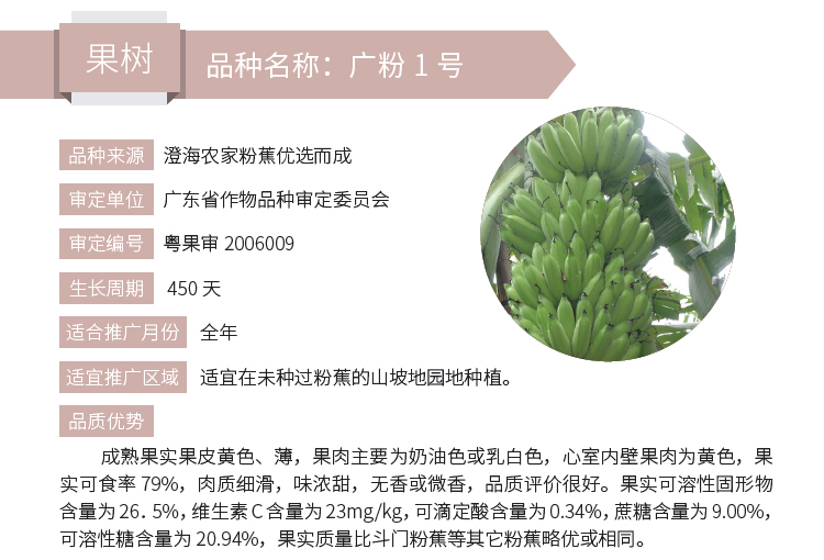 博彩论坛排名