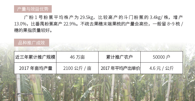 博彩论坛排名