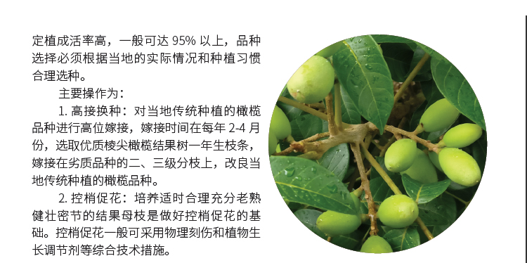 博彩论坛排名