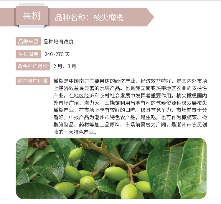 博彩论坛排名