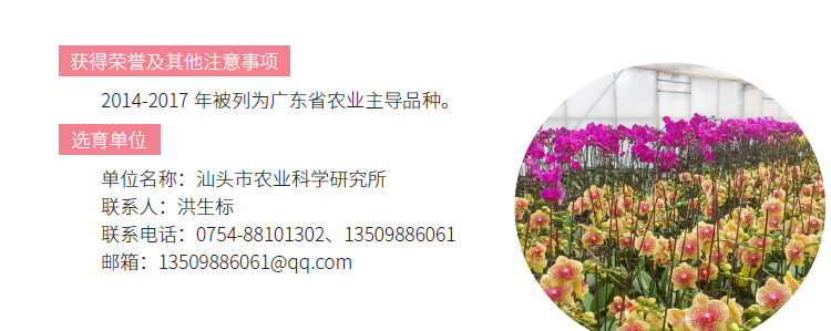 博彩论坛排名