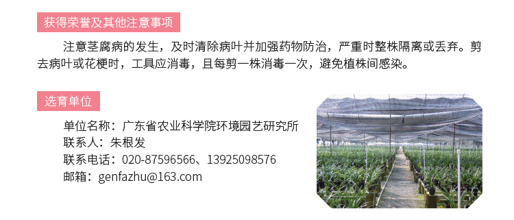 博彩论坛排名