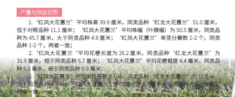 博彩论坛排名