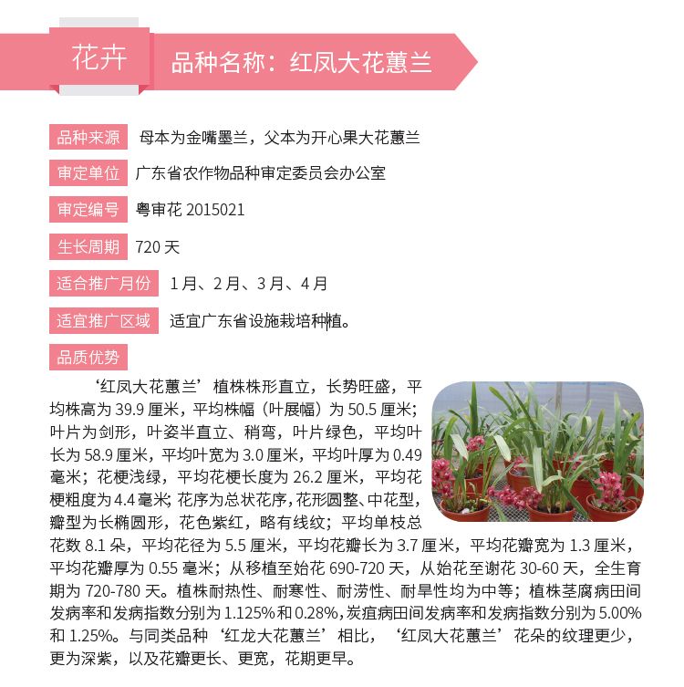 博彩论坛排名