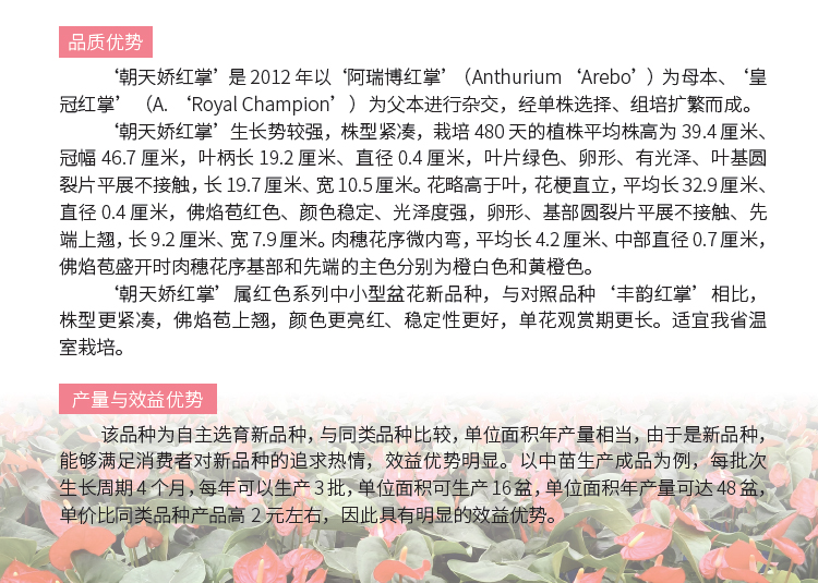 博彩论坛排名