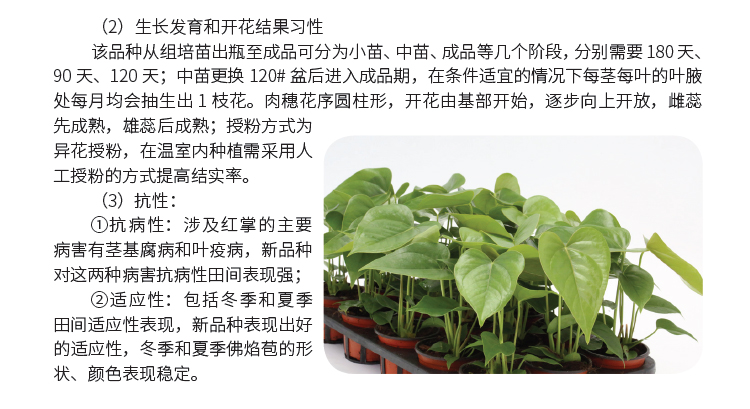 博彩论坛排名