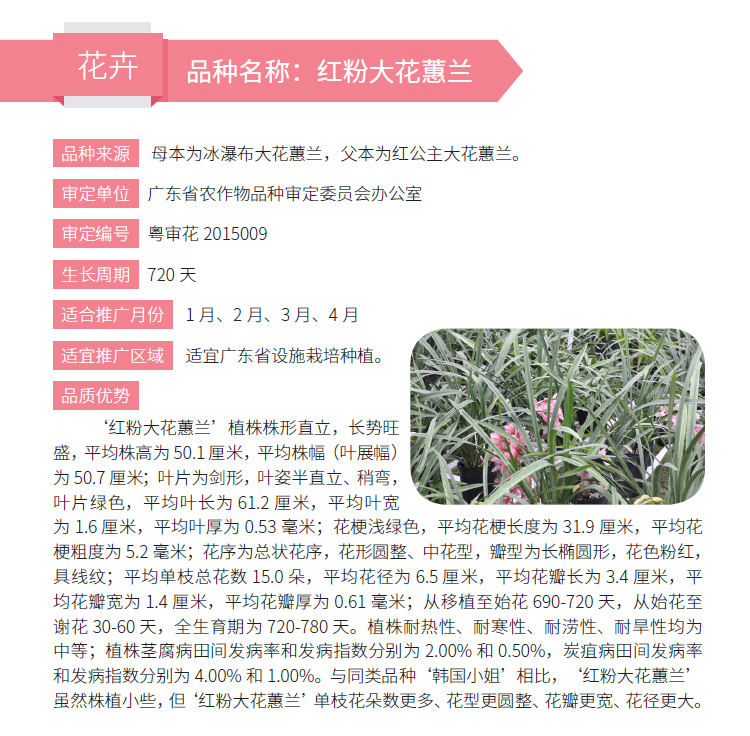 博彩论坛排名