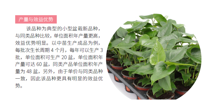 博彩论坛排名