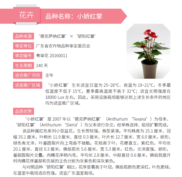 博彩论坛排名
