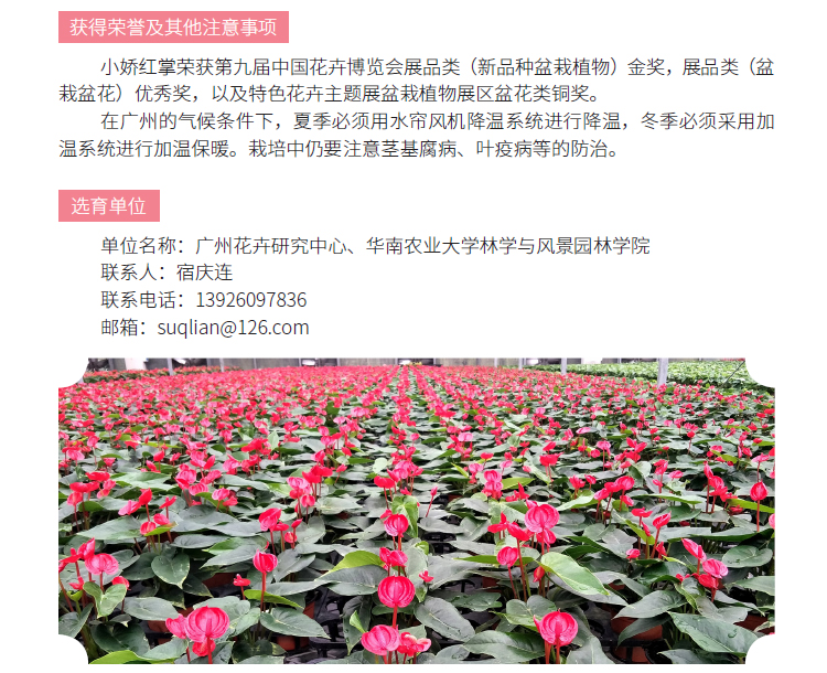 博彩论坛排名