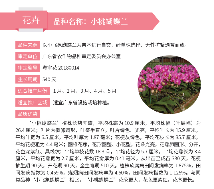 博彩论坛排名